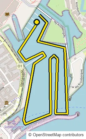 Swim course map for IRONMAN 70.3 Elsinore: the official route drawn on an OpenStreetMap basemap