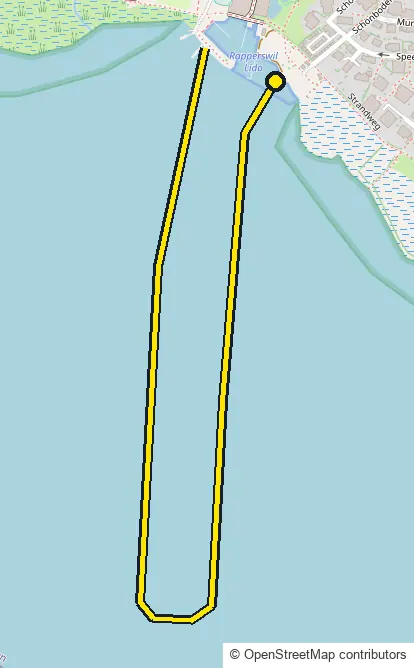 Swim course map for IRONMAN 70.3 Switzerland: the official route drawn on an OpenStreetMap basemap