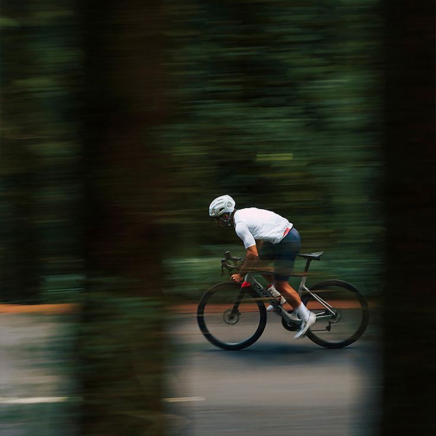 A rider back out on a quiet forest road